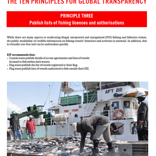 Transparency principle three: Factsheet for implementation