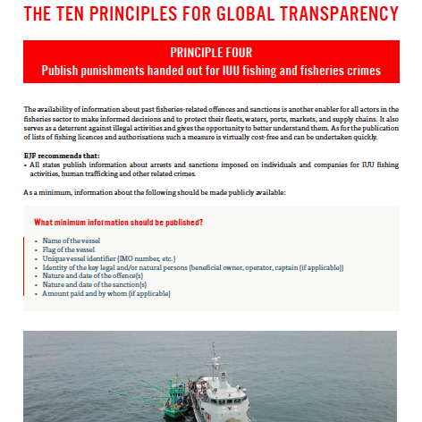 Transparency principle four: Factsheet for implementation