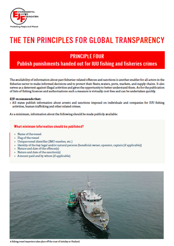 Transparency principle four: Factsheet for implementation
