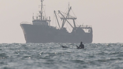 How to eradicate illegal fishing