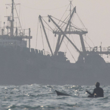 Wie illegale Fischerei gestoppt werden kann