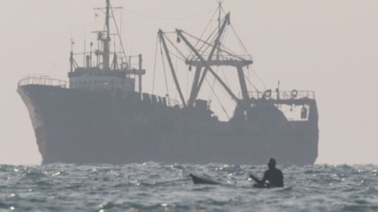 Wie illegale Fischerei gestoppt werden kann