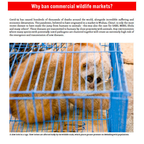 Warum kommerzielle Märkte für Wildtiere verbieten?