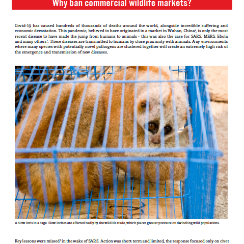 Why ban commercial wildlife markets?