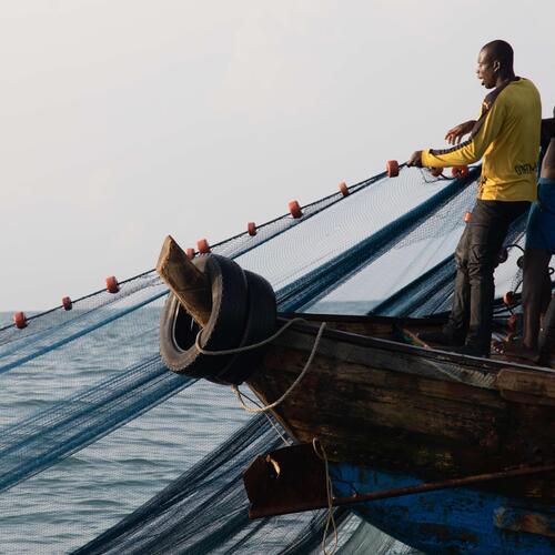 WTO urged to end harmful fisheries subsidies