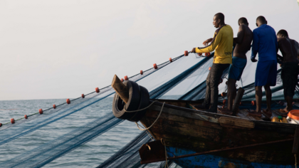 WTO aufgefordert, schädliche Fischereisubventionen zu beenden