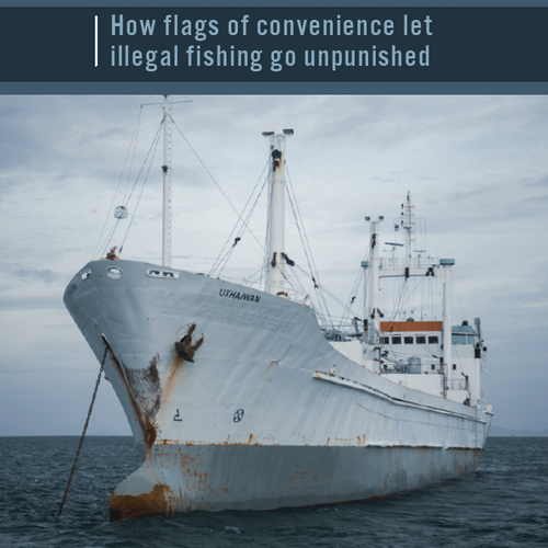 Off The Hook: Wie Billigflaggen illegale Fischerei ungestraft lassen