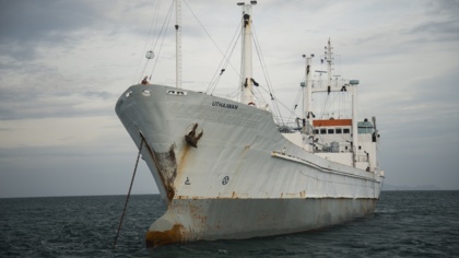 European Commission and other major fishing players unite to tackle flags of convenience