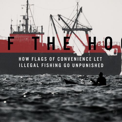 „Off The Hook“: Wie Billigflaggen illegale Fischerei ungestraft lassen