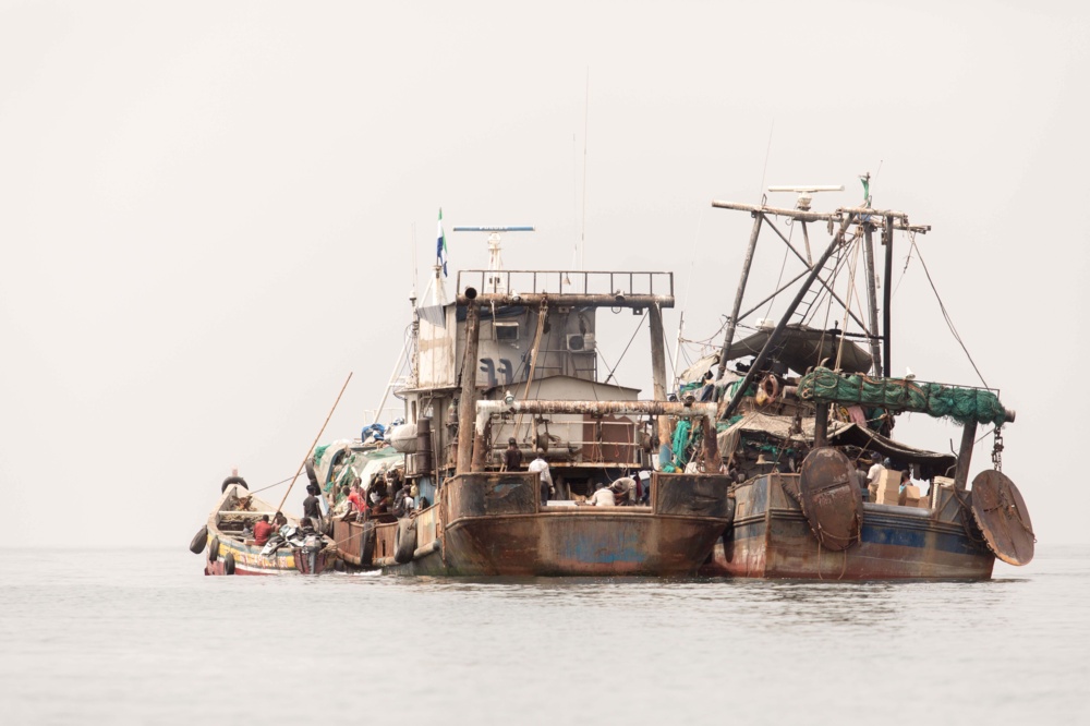 Sierra Leone transhipment