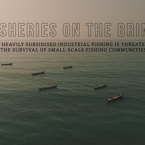 Fisheries on the brink