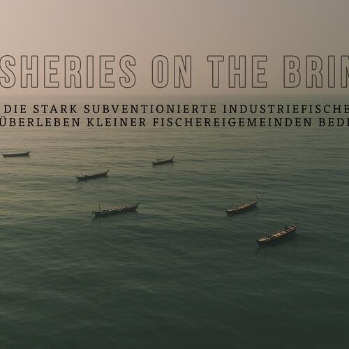 „Fisheries On The Brink“: Schädliche Fischereisubventionen und ihre Folgen für die Kleinfischerei