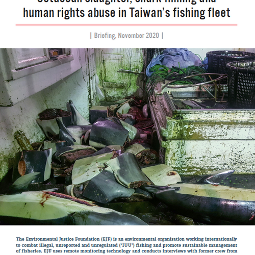 Tötung von Walen, Haifisch-"Finning" und Menschenrechtsverletzungen in Taiwans Fischereiflotte