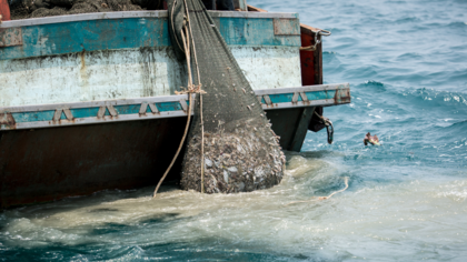 Illegale Fischereiprodukte in der EU: Was Deutschland tun kann
