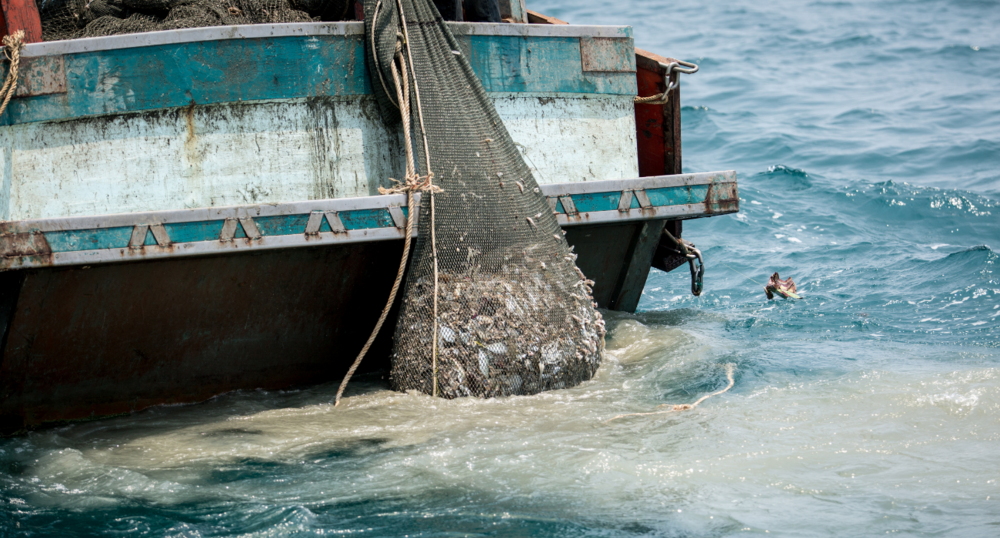 IUU fishing net