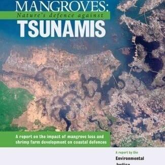 Mangroves: Nature's Defence Against Tsunamis