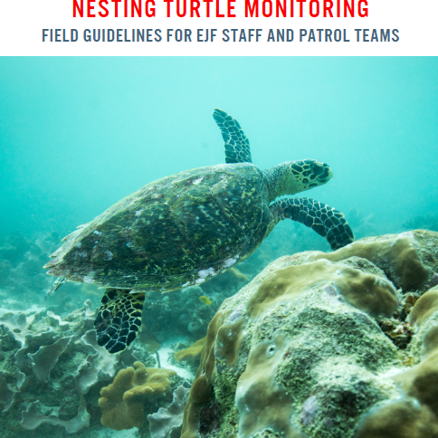 Überwachung nistender Schildkröten: ein Handbuch