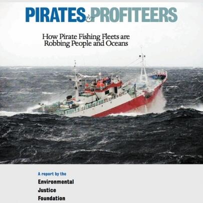 Pirates & Profiteers