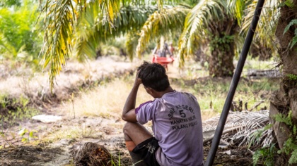 EU Parliament must vote to end human rights and environmental abuse in supply chains