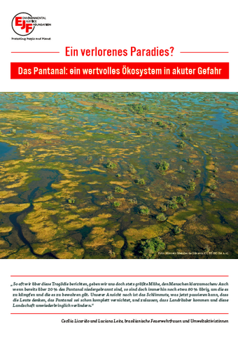 Ein verlorenes Paradies? Das Pantanal: ein wertvolles Ökosystem in akuter Gefahr