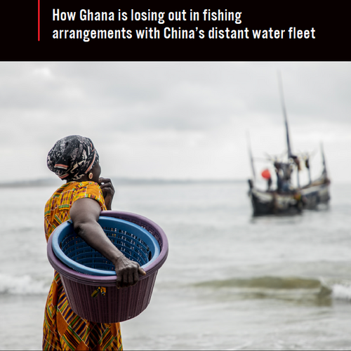 Zu welchem Preis? Wie Ghana bei Vereinbarungen mit Chinas Fernfischereiflotte verliert