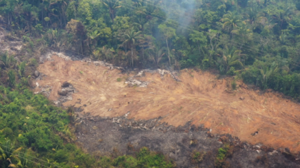 EU’s Due Diligence law needs future-proofing to safeguard environmental justice: Press comment