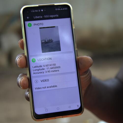 Fischer in Liberia nutzen App, um illegale Trawler zu melden