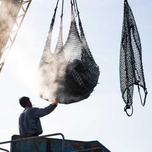 Weak fisheries certification leaves an open door for human rights abuses