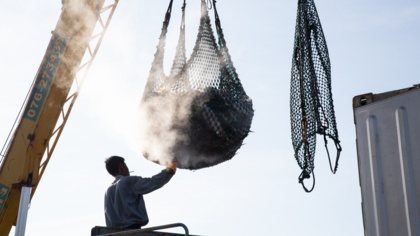 Weak fisheries certification leaves an open door for human rights abuses