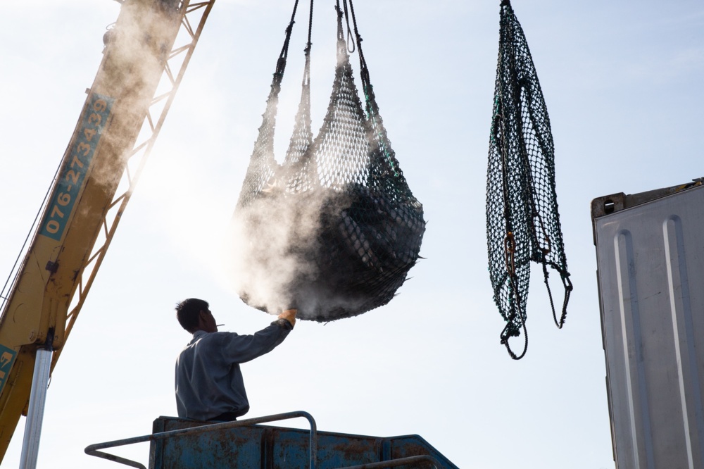 Fisheries worker