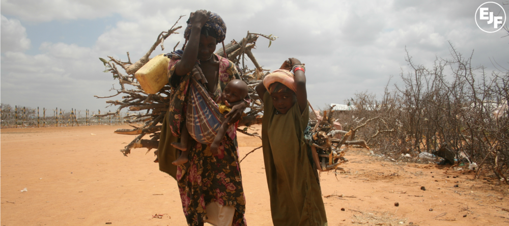 Rs15816 A Mohter And Her Daughter Carrying Firewood In Ifo2 Photo Mould April2012 1