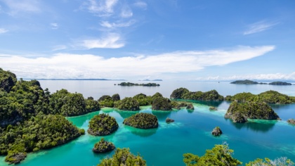 Meeresschutz ist der Schlüssel für ein stabiles Klima und eine nachhaltige Wirtschaft