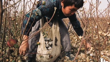 EJF invited by UK Government to discuss Uzbek cotton