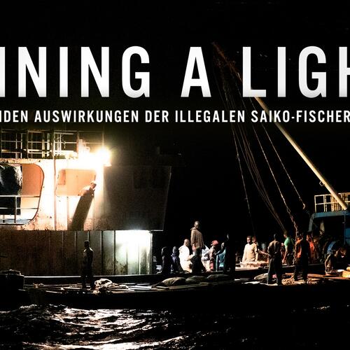 „Shining A Light“: Verheerende Auswirkungen der Saiko-Fischerei in Ghana