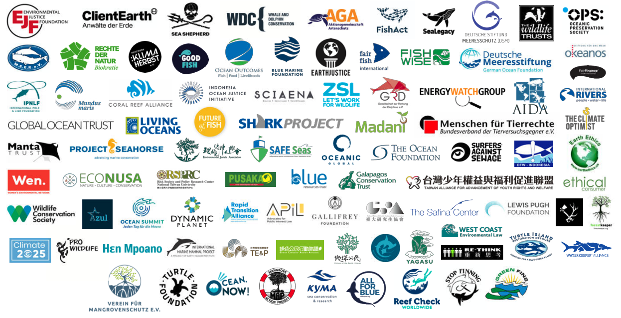 Blue Carbon Partnerorganisationen