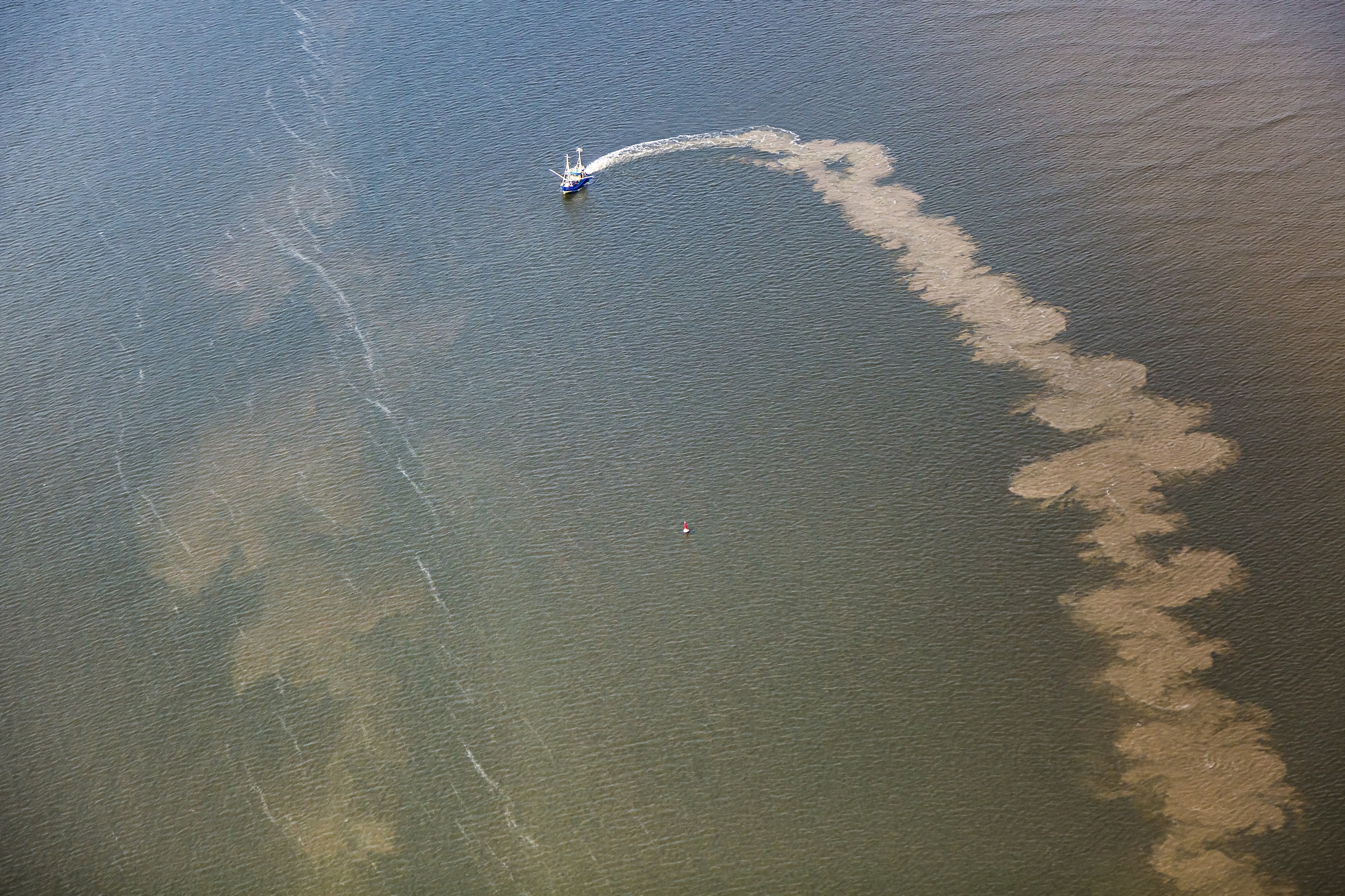 Legal action launched against bottom trawling in the German Wadden Sea