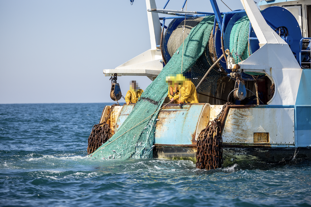 Les défenseurs de l’océan lancent « Protect our Catch: La Voix de l’Océan », une campagne européenne, exhortant le président français Emmanuel Macron et l'Union européenne à mettre fin aux méthodes de pêche destructrices, telles que le chalutage de fond