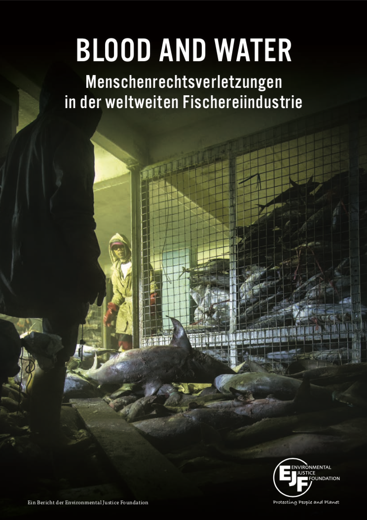 Blood And Water: Menschenrechtsverletzungen in der globalen Fischereiindustrie