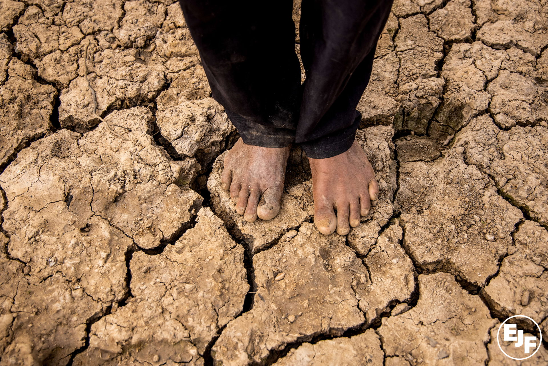 No more delays: EJF comment on IPCC Sixth Assessment Report