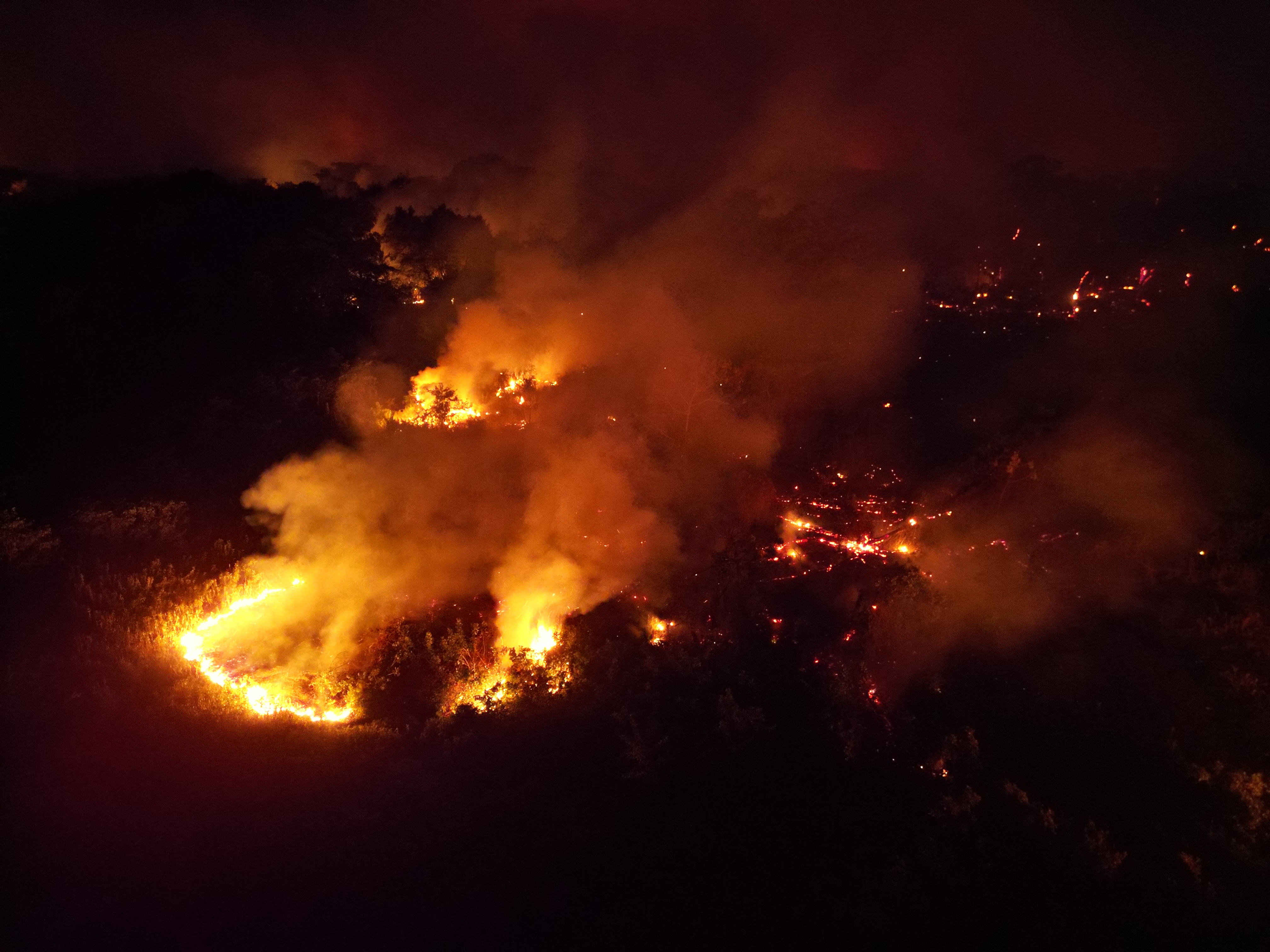 EJF partage des témoignages sur la crise mondiale des feux de forêt alors que la COP30 se poursuit au Brésil