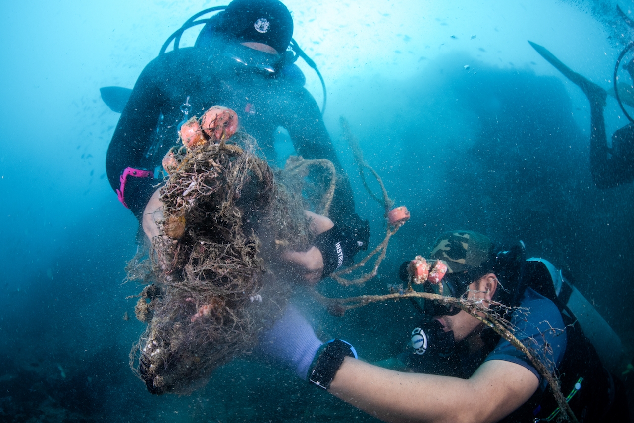 Divers untangle nets