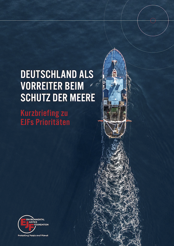 Deutschland als Vorreiter beim Schutz der Meere: Kurzbriefing zu EJFs Prioritäten﻿﻿