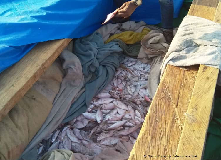 Ghana steps up the fight against illegal fishing practices