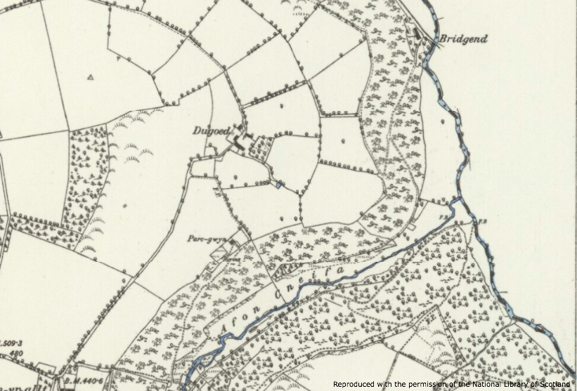 Climate commitment: EJF buys ancient woodland