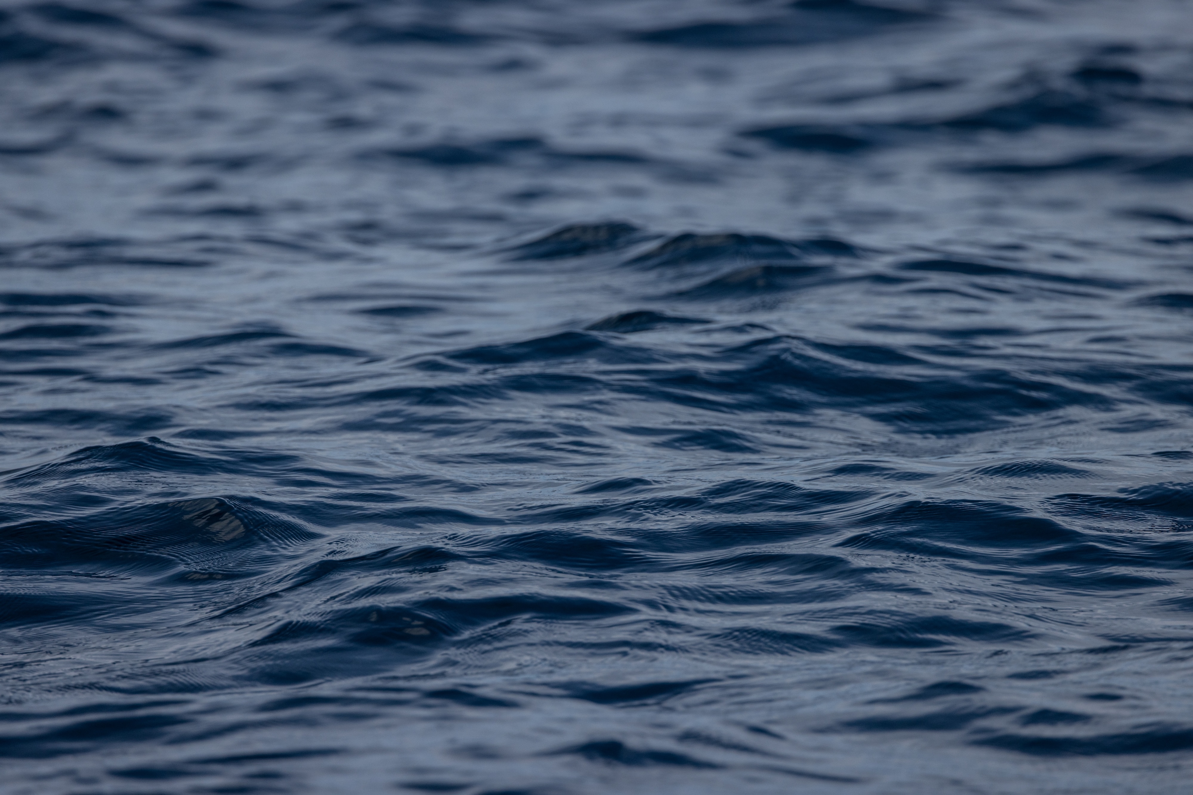 EJF Response to PFA Comments in Fishing Daily and Undercurrent