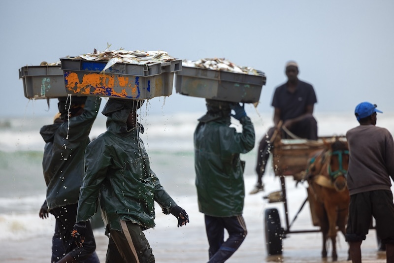 European Commission warning to Senegal will further strengthen the fight against illegal fishing