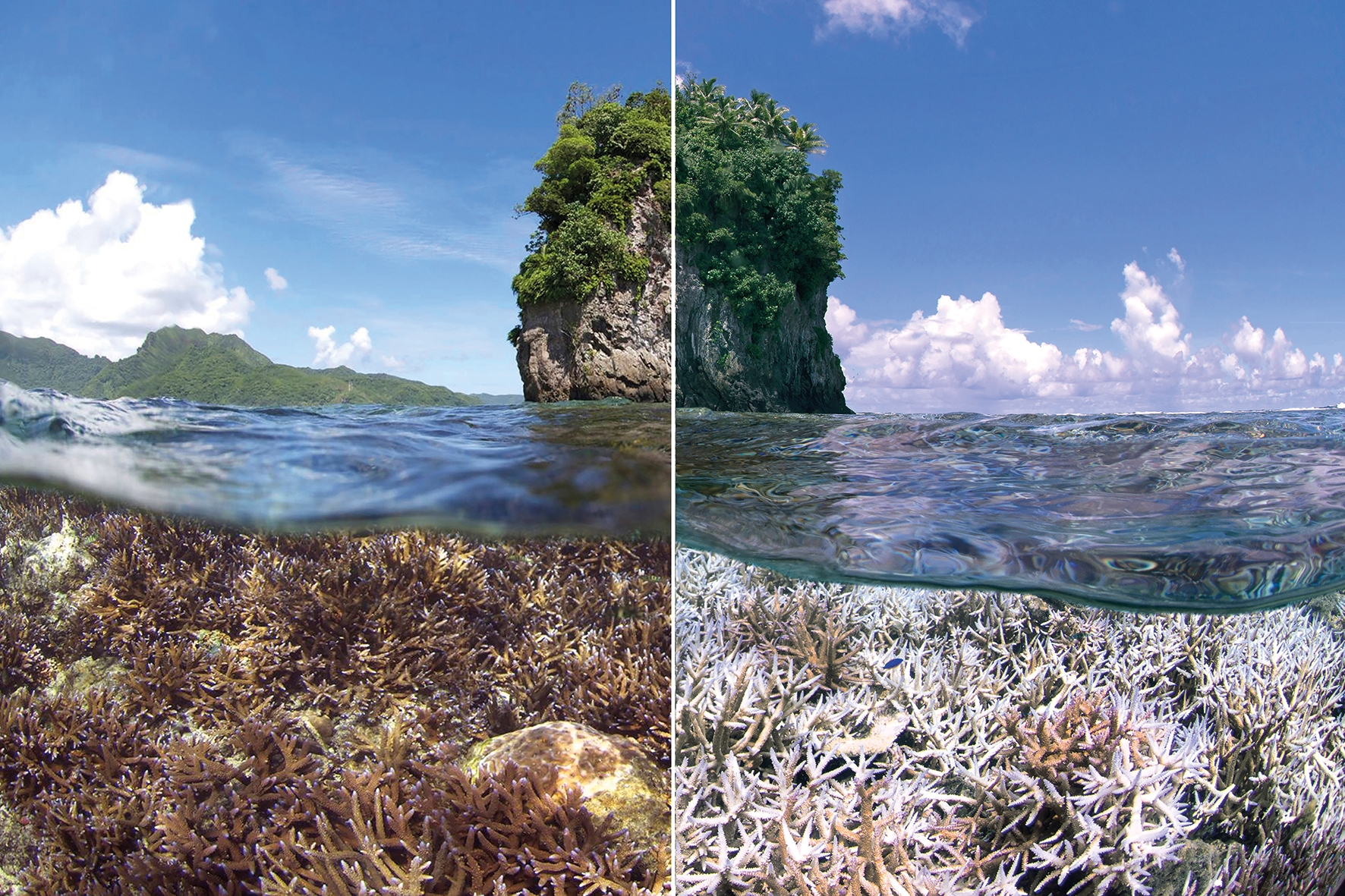 Corals and communities: EJF report highlights devastating impacts of climate crisis on reefs