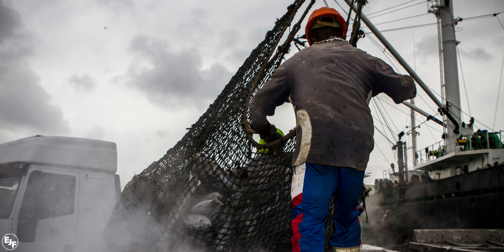 Toolkit for tackling illegal fishing and abuse at sea