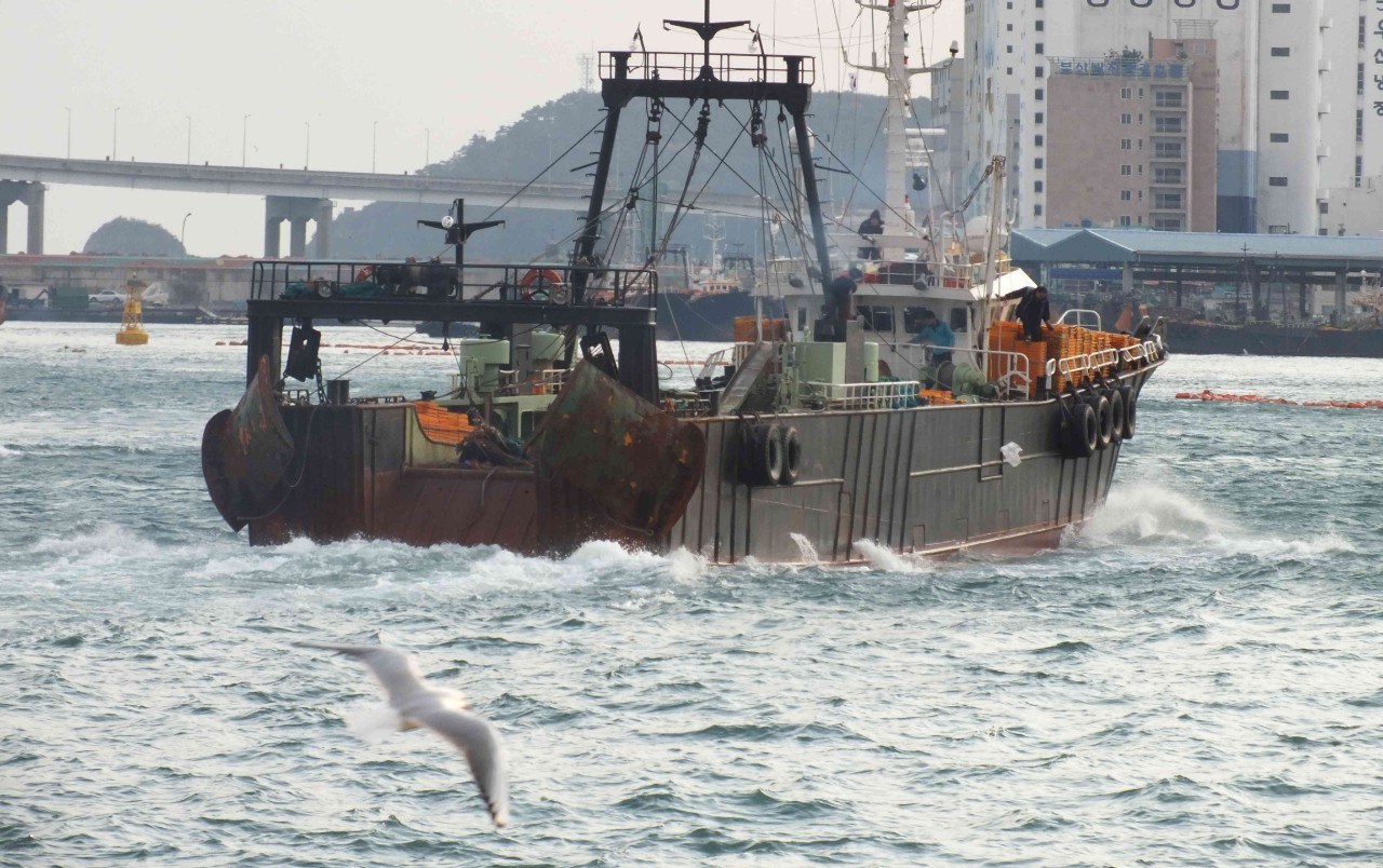 Abuse of migrant workers and illegal fishing in Korean fleet that exports to EU, UK and US