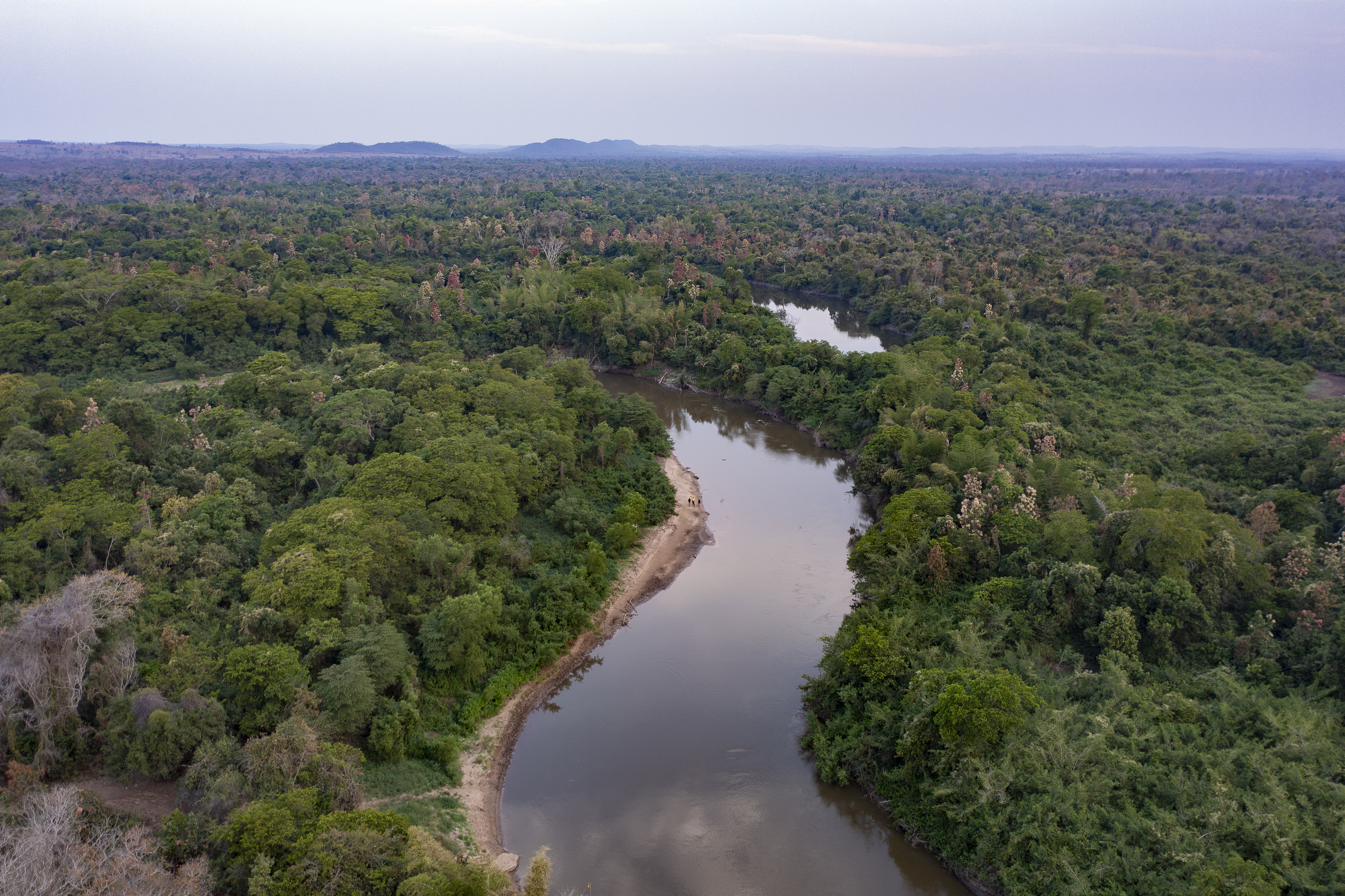 World leaders urged to safeguard wetlands at COP30